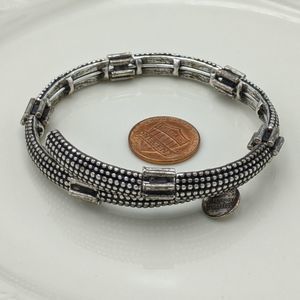 Alex and Ani Rafaleian Silver Metal Wrap Bracelet